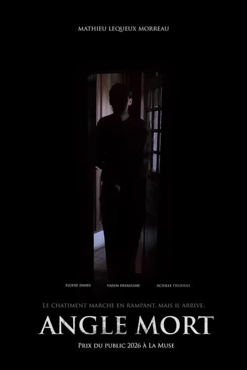 Affiche de Angle Mort