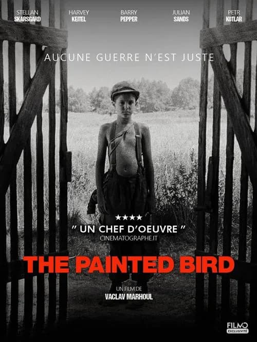 Affiche de L'Oiseau bariolé