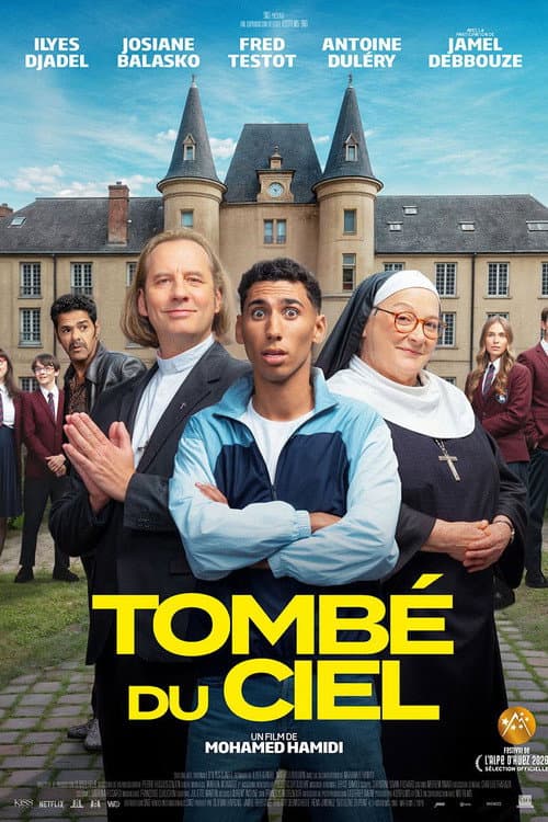 Affiche de Tombé du ciel